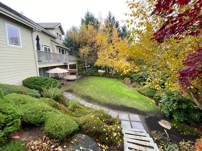 Autumn backyard with a stone stepper path and manicured lawn